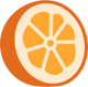 orange-icon.jpg